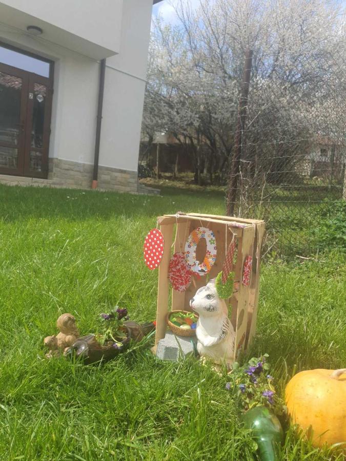 Бадевски Рай- Къща София Veliko Tárnovo Exterior foto